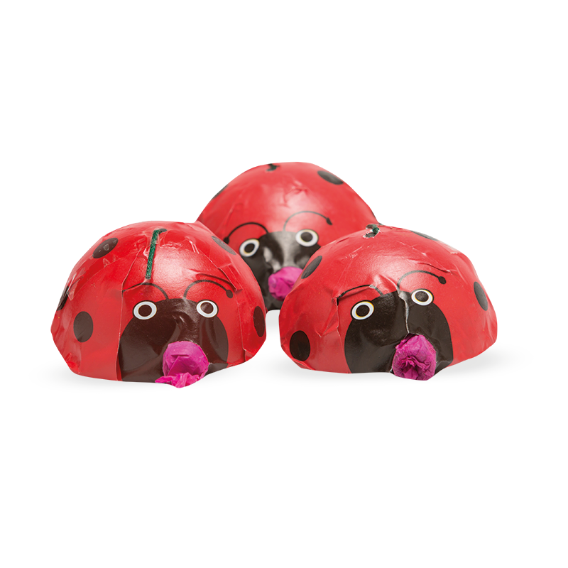[1905] 3 LADY BUGS