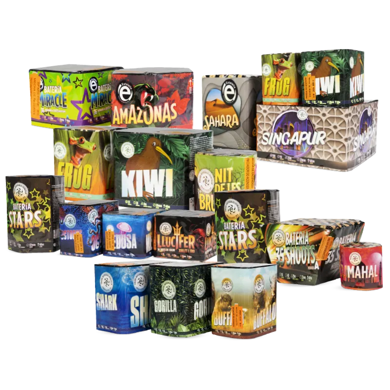 PACK 19 BATERIAS